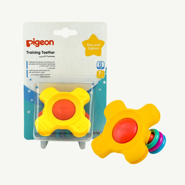 Pigeon Training Teether Step 2